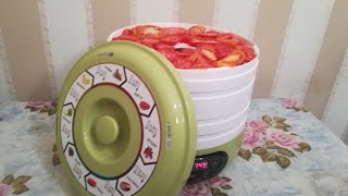 Обзор сушилки для овощей и фруктов HOMECLUB FD-716L | Сушилка из ленты