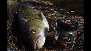 Chub Love Big Baits