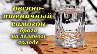 Овсяно-пшеничный самогон, осахаривание зеленым солодом, алкогольный напиток