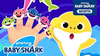 Baby Shark Finger, Where Are You? | +Compilation | Shark Finger Family 