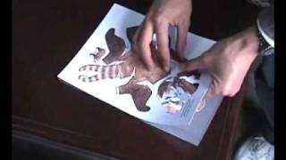 cutok craft cutting plotter en
