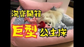 淘寶開箱！狗狗用品 ！ 粉紅公主床！ Pomeranian 博美 松鼠狗