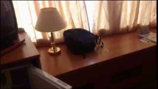 Astrus Moscow City Hotel 3*