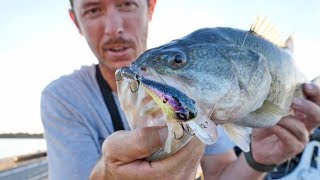 Bass Fishing with NEW GOOGAN SQUAD MINI RECON Crankbait