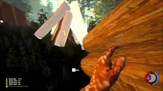 Gezockt # 24 The Forest [Coop]