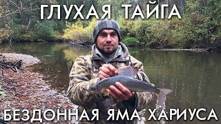 ГЛУХАЯ ТАЙГА / БЕЗДОННАЯ ЯМА ХАРИУСА / РЫБАЛКА ОСЕНЬЮ НА СПИННИНГ