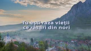 Cand cad lacrimi trecatoare