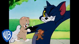 Tom und Jerry auf Deutsch | Unterricht zu Hause | WB Kids