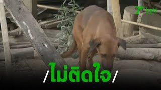 ญาติไม่ติดใจ “ยายเขียน”รุดขมาศพ | 11-11-62 | ข่าวเช้าตรู่ไทยรัฐ