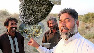 Shehad Ki Khoj Main / Khlis Shehad / Honey Searching / Choti Makhi ka Shehad / Mubarik Ali
