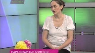 Школа здоровья 14/09/2013 Паразитарные болезни ушей у кошек и собак