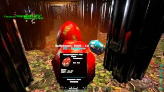 Выращивания сразу Птера Аргента и 2 рекса эпик фейл в ARK Survival Evolved
