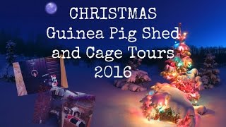 Christmas Pet Shed and Cage Tours | 2016