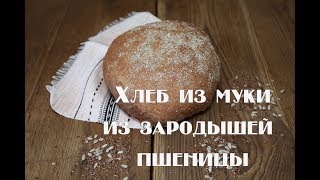 Хлеб из муки из зародышей пшеницы. Вкусно и полезно .