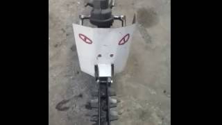 Pesce sega"river monster"