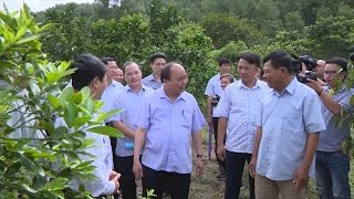 Thủ tướng Nguyễn Xuân Phúc thăm xã nông thôn mới Nam Giang, Nghệ An Tin trong nước