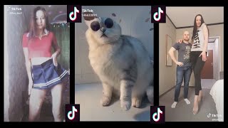 Сегодня ты извращенка?  Skibidi Challenge? ТУСА В ШКОЛЕ?  Тик Ток.