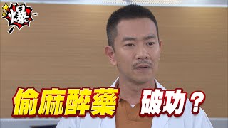 《多情大爆爆》多情城市 EP249 偷麻醉藥 破功？