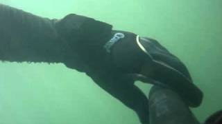River spearfishing- pesca sub, by werner oyola, ictioman