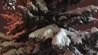 Зима