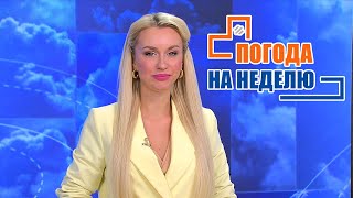 До нуля градусов! / Погода на неделю / Прогноз погоды с 26 сентября по 2 октября 2022 / Плюс-минус