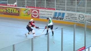 Statement gegen Rechts -- Streethockey-Turnier der Deggendorf Devils!