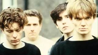 The House Of Love - Shine On