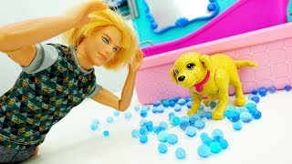 Кен купил щенка для Барби. Видео для девочек куклы
