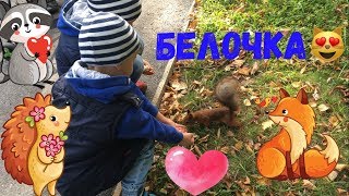 Ручные белочки / БЕЛКИ / Где погулять / Куда пойти с ребенком Москва в Москве / Измайловский парк