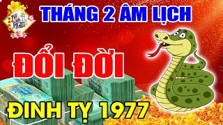 TỬ VI TUỔI ĐINH TỴ 1977 THÁNG 2/2022 SỐ HƯỞNG LỘC TRỜI TIỀN ĐẾM KHÔNG XUỂ VƯƠN TẦM ĐẠI GIA | TVTL
