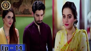 Zindaan Episode - 14 - 9th May 2017-  Top Pakistani Drama