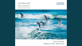 Violin Concerto in D Major: I. Allegro