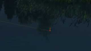 Трофейная Рыбалка(Trophy Fishing,game)