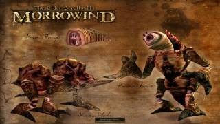 TES III: Morrowind. Лягуха, Мокроух, Топотун и Черношапочник - это всё я! #28