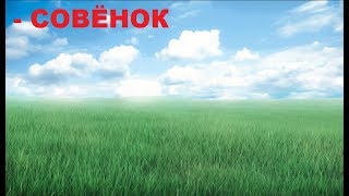 ИДЕАЛЬНАЯ ШЕСТЕРЁНКА | Один украденный день 2 серия | Бесконечное лето
