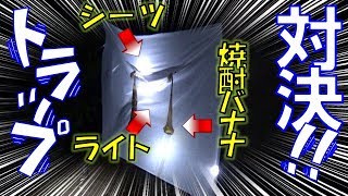 【カブトムシ・クワガタ】虫取り対決 第1弾！！どっちが多く捕獲できるか！？