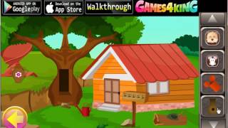 G4K Cute Squirrel Escape Game Walkthrough
