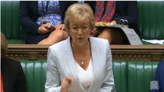 Andrea Leadsom BLAMES Labour for forcing sick MP in wheelchair to vote