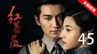 红蔷薇 45丨Wild Rose 45（主演:杨子姗,陈晓,毛林林,谭凯）【未删减版】