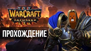 Прохождение Warcraft III: Reforged с Майкером 2 часть (Высокий)