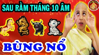 ỨNG NGHIỆM Lời Tiên Tri 4 Con Giáp Hưởng Lộc Trời Ban Sau Rằm Tháng 10 ÂL ĐỔI ĐỜI