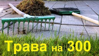 Английский газон на хуторе