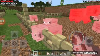 Minecraft çiftlik yapımı