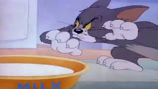 Tom and Jerry cartoons
