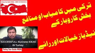 Successful Business Ideas in Turkey for Pakistanis