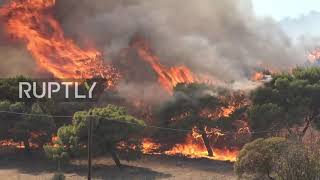 Greece: Firefighting choppers combat wildfires outside Athens