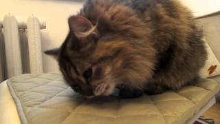 DSCN4755