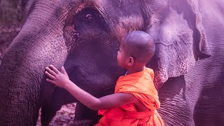 Spiritual Awakening Meditation Music | 432Hz Positive Mind | Healing Heart Chakra | Zen Music
