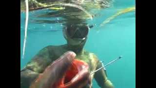 PELAGICI E SERRANIDI SPEARFISHING BY ROBERTO TIVERON