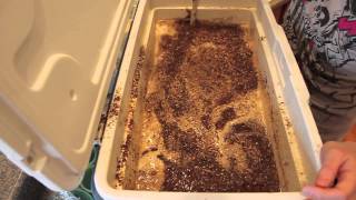 Brewing an Imperial Stout (and maybe a standard stout too...) with Joe PT 1